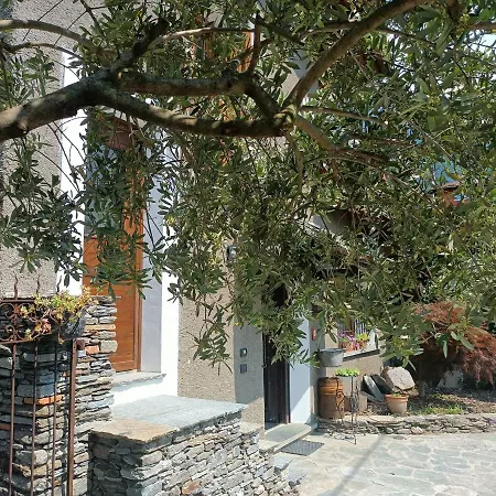 Rosina House E 3*