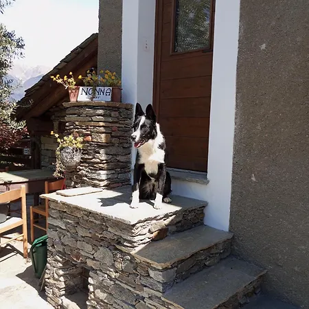 Rosina House E 3* 科利科