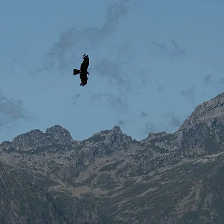 Rosina House E 招待所 3*