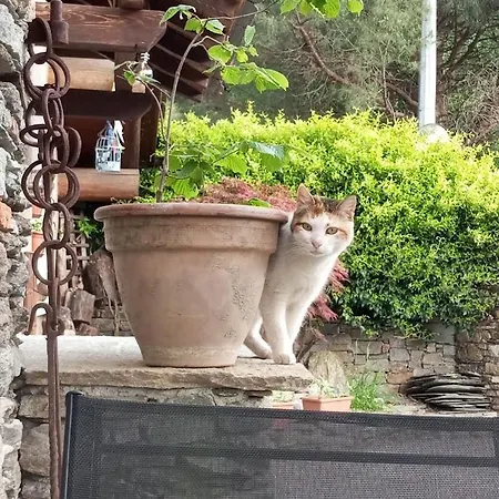 Πανσιόν Rosina House E Colico