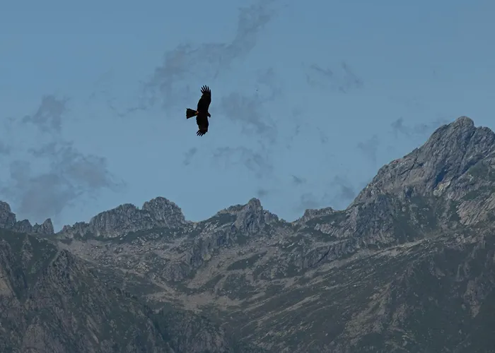 Rosina House E Πανσιόν 3*